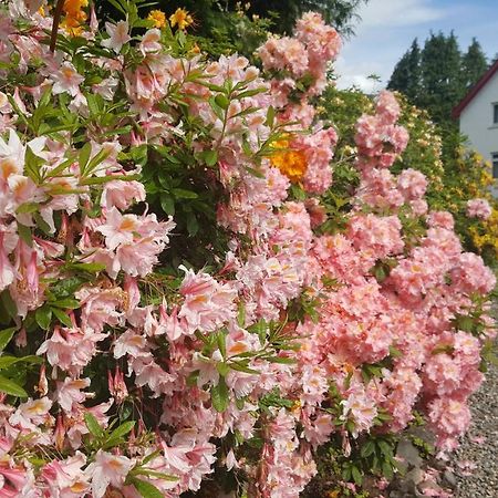 Bed and Breakfast Torbeag House Fort William Exterior foto