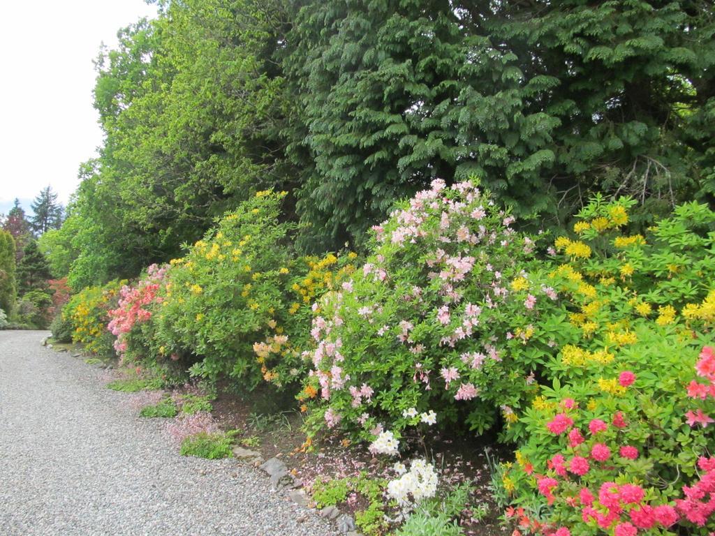 Bed and Breakfast Torbeag House Fort William Exterior foto